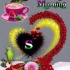 rafeqbava126