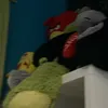 qwummy1