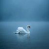anna_0039