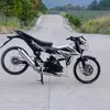 dhodxii