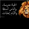 fifimouhamed5