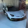 diego_svj7
