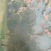 cc0099c