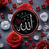 islamvideo934
