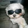 emillyvitoria0262