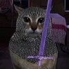 alko_mi