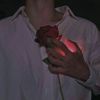 corazontristeehn