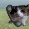 mbellkisabella