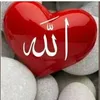 user8351413997958
