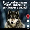 user9751104322001