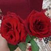user7290853819818
