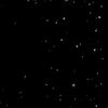 jaque_12073