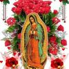 griselda.zrate
