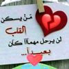 user3979519775432