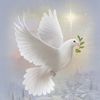 samah22446688