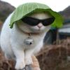 helmi.suhaimi6