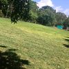 bryan_15273