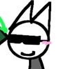 raccoontirebonez