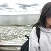 ms_4730