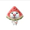 d.diann__