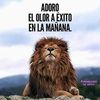 david.celis5