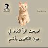 user7277063150462