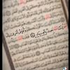 user4803947133855