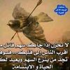 user63355522685421