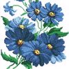 alma_flowers_beauty