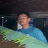 axcellatayan3