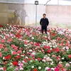 flowerflower6039