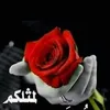 user1770785107070