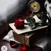 shazada1773