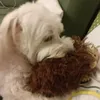aightfizzy1