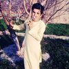 zardad.khan556