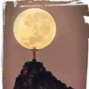 notmejacob6
