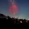 jayna5310