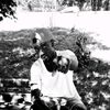lamin.gitteh