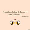 user4027033652874ca