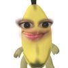syi_aa_