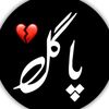 sabir.niazi1