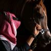 abdullahq515