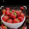 yahya.yahya799