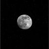 arjin_333