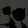 _mhsn7