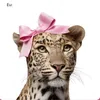 www.kit.da.ve