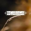 user7049693110794
