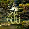user9570995820081