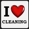 thecleaningteen