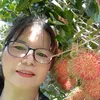 hong.phan619